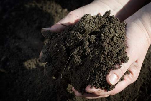 Preparing your soil before planting